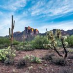 green trees near brown rock formation under blue sky during daytime