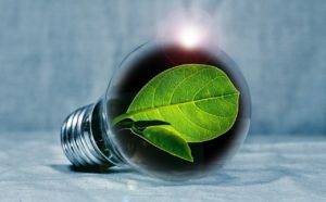Energy & Grow A Sustainable Business