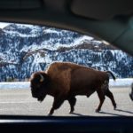 Winter Adventures in Cody Yellowstone