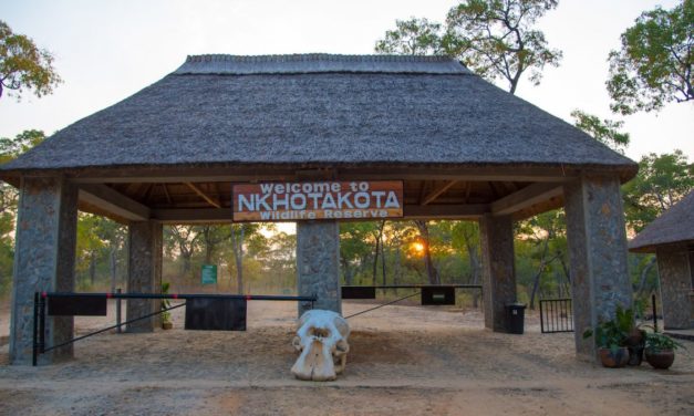 A first hand experience of Tongole Wilderness Retreat