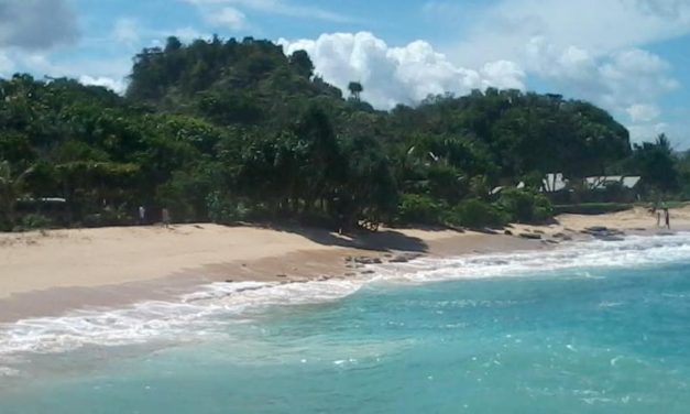 Asia Awaits with Avani Hotels & Resorts: Families & Flashpackers Delight with Unmissable Packages