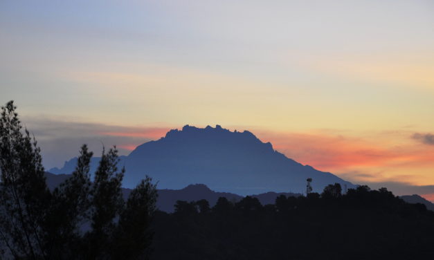 G Adventures to run more than 1,000 departures this June