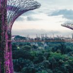 Best Tourist Attractions to Visit in 2022 | Singapore