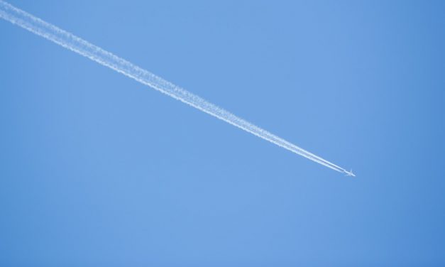 Resilient Industry Cuts Losses to $9.7 billion