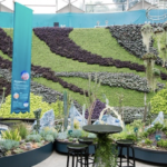 Laissez-faire Catering and Indigiearth present first-ever Indigenous degustation menu for Sydney event hosts