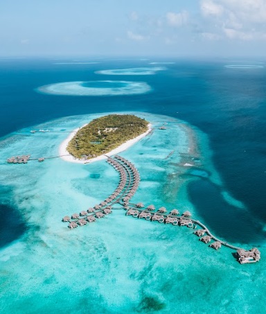 2022: A Deep Sea Odyssey with Vakkaru Maldives