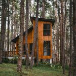 brown wooden house in forest during daytime