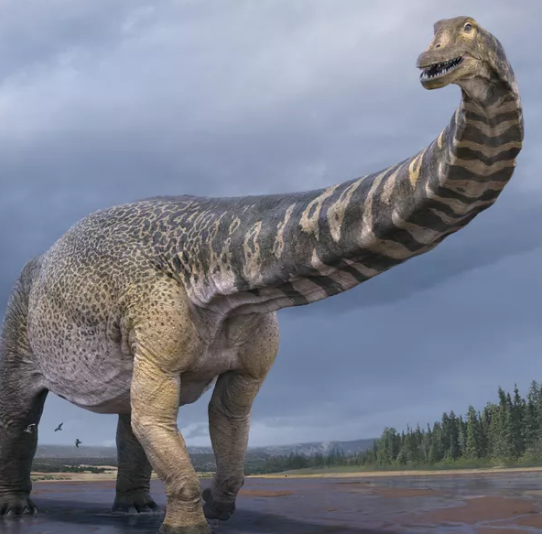 Australia’s Largest Dinosaur Set To Celebrate Birthday #1, But Where Does It Sit Among The Jurassic Park Greats?