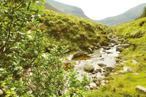 Mourne Mountains stream
