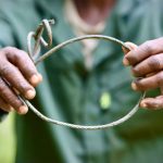 Snares are used to capture wildlife for bushmeat in some rural communities. Photo credit: Dianne Tipping-Woods for Africa Nature Based Tourism Platform