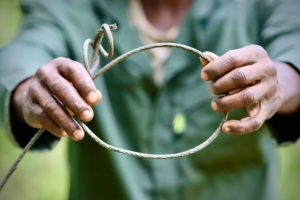 Snares are used to capture wildlife for bushmeat in some rural communities. Photo credit: Dianne Tipping-Woods for Africa Nature Based Tourism Platform