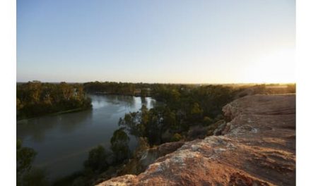 Showcasing the wine brands and personalities behind the Riverland