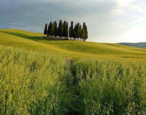 New initiative from On Foot Holidays exclusive for Australians and Kiwis