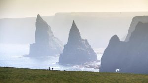 Wilderness Scotland Unveils Carbon Emissions