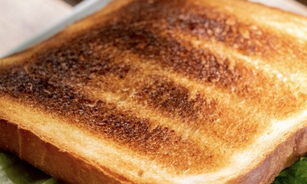 Burnt toast delays flights as airport terminal evacuated
