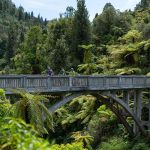 Bridge-to-Nowhere-Mountains-to-Sea-cycle-trail-Whanganui-National-Park