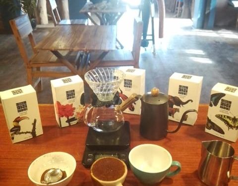 Coffee Tourism Springs Back to Life in Southern Laos