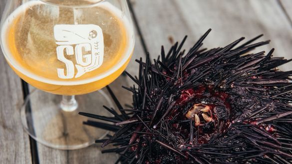 Wild Harvest Seafood Festival Returns To Mallacoota