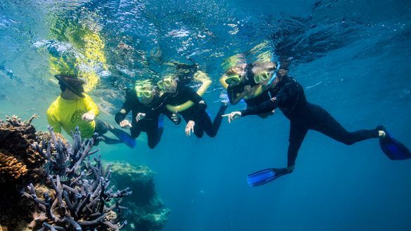Master Reef Guides Dive into the 21st Great Barrier Reef Festival