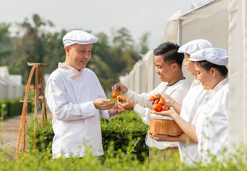 Meliá Chiang Mai Launches A Journey to the Farm Package