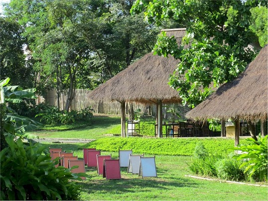 Forest Bathing With Hotels Around Asia