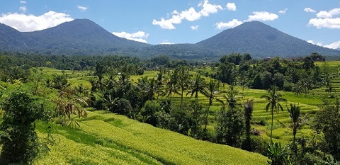 Sustainable Indonesia – The Growing Popularity of Green Travel