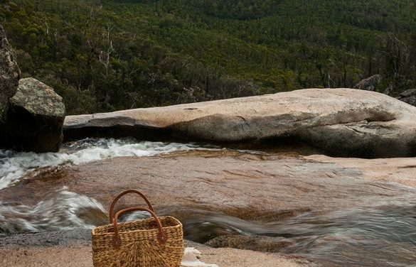 Canberra’s Best Picnic Spots: 21 Places to Kick Back and Enjoy Spring Outdoors