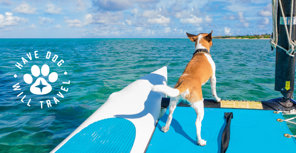 Pup’s Welcome: Aruba Invites Pet Parents and their Dogs to Experience The Aruba Effect with ‘Have Dog, Will Travel’