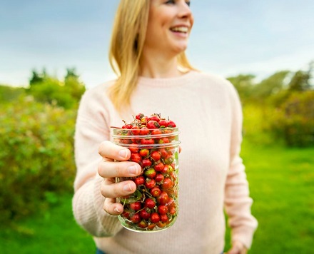 Canada’s edible landscape: 5 foraging adventures for Aussie travellers