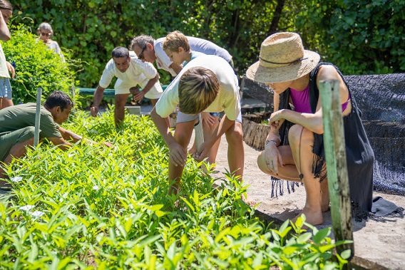 Six Senses Laamu Introduces Sustainability Camp