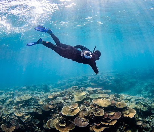 Lizard Island Partners with Citizens of the Great Barrier Reef