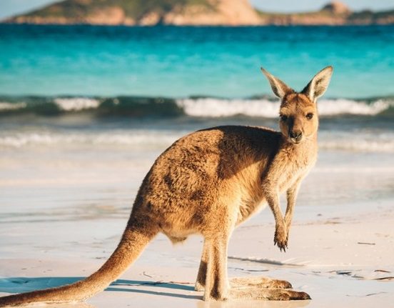 P&O Cruises Australia Releases Five of the Hottest Destinations to Explore this Summer