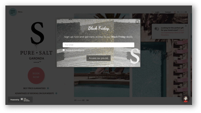 Pre-Black Friday campaign to capture email subscriber information