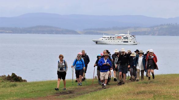 Record Summer Season for Coral Expeditions in Tasmania