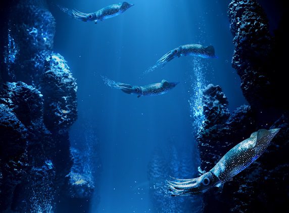 Journey through living light with Submerged at SEA LIFE Melbourne Aquarium