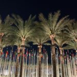 Global Flags with Palm Trees