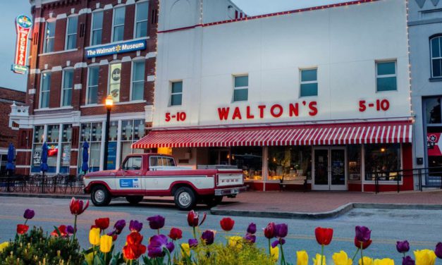 NEW Family Mountain Biking Tour in Bentonville, Arkansas