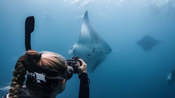 The Second Manta Retreat to Take Place This March at Intercontinental Maldives