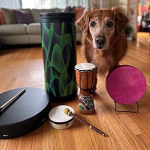 Despite Having Cancer, Surf Dog Ricochet Celebrates Her 15th Birthday  With A Worldwide Drum Circle Hosted By “Resounding Joy”