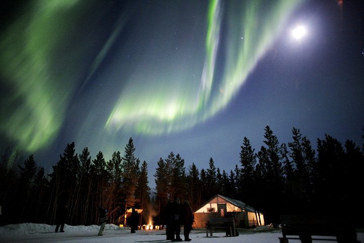‘Solar Max’ explained: Why now is the time for a northern lights trip to the Yukon
