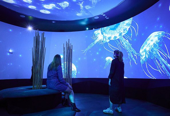 NOW OPEN: Journey through living light at SEA LIFE Melbourne Aquarium with the launch of Submerged
