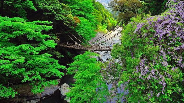 Experience authentic Japan like a local in the Setouchi Region