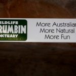 Currumbin Wildlife Sanctuary