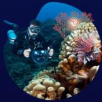 Global Fund for Coral Reefs