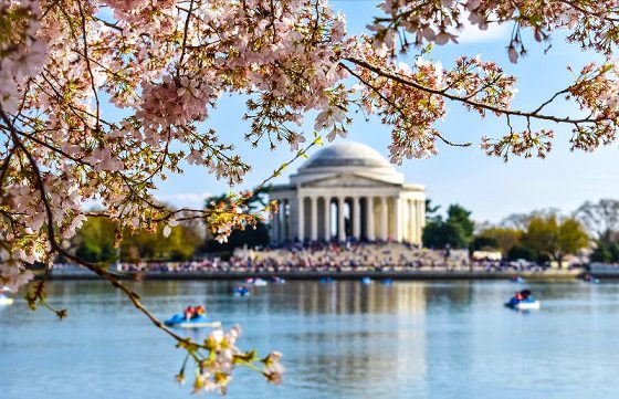 Destination DC Invites Visitors to Maximise Spring Travel Experience