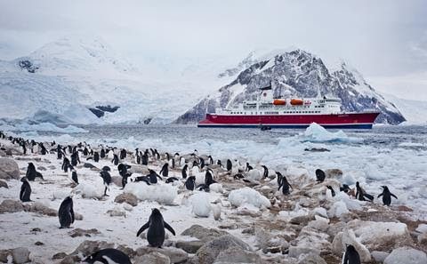 Journey to Antarctica with G Adventures Next Summer