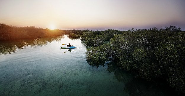 abu dhabi sustainable tourism