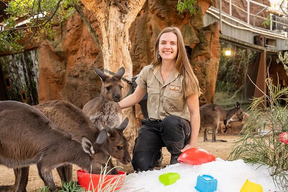 WILD LIFE Sydney Zoo welcomes Winter with surprise snow!