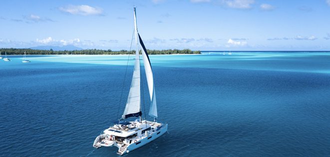 Majestic Whale Encounters launches new luxury catamaran experiences