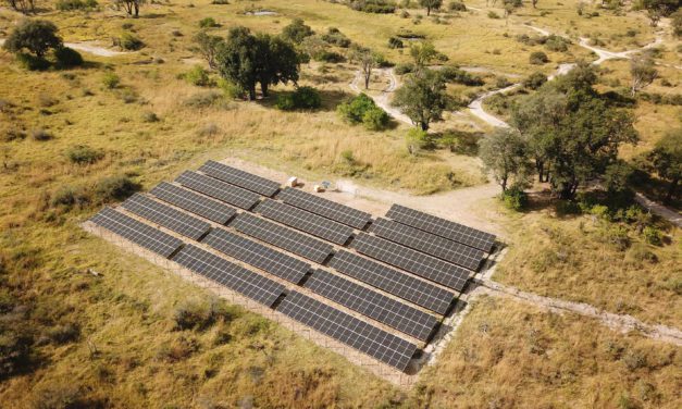 Desert & Delta Safaris Launches Fourth Solar Field at Camp Moremi